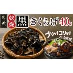 fu.... налог дикоросы *.. . Miyazaki префектура столица замок город здоровый сухой чёрный иудино ухо 40g почтовая отправка _LA-C905_( столица замок город ) столица замок производство сухой чёрный иудино ухо наша компания культивирование p Rico li витамин mine...