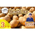 野菜類 じゃがいも じゃがいも3kg デジマ