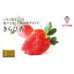 ふるさと納税 いちご 静岡県 静岡市 大粒きらぴ香いちご(450g×2パック)ギフトBOX入り なかじま園 大粒 果物 イチゴ 苺 ギフト 贈答品 お祝い 化粧箱 プレゼ…
