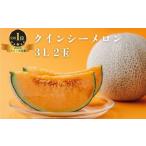 ふるさと納税 メロン メロン赤肉 茨城県 鉾田市 クインシーメロン（3L×2玉）