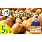 野菜類 じゃがいも じゃがいも5kg デジマ