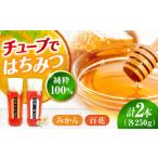 加工品等 はちみつ 手軽に簡単チューブはちみつ