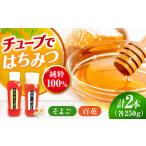 加工品等 はちみつ 手軽に簡単チューブはちみつ