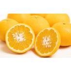 ふるさと納税 みかん・柑橘類 愛媛県 -  訳あり 甘夏 10kg 柑橘 訳あり みかん 蜜柑 ミカン フルーツ 果物 くだもの 愛媛みかん 愛媛県産 2026年2月下旬〜3月…