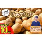 野菜類 じゃがいも 訳あり じゃがいも10kg