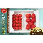 いちご 先行受付 農家直送 農家おまかせ訳あり 270g×2パック