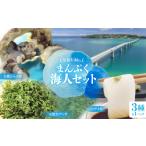 魚貝類 まんぷく海人セット 天然シャコ貝