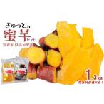 ふるさと納税 干し芋 岩手県 久慈市  4／24発送分 就労継続支援施設 ぎゅっと。の蜜芋セット（ちっちゃいも１kg、干し芋150ｇ×2Ｐ）国産 干しいも 蜜芋 無添…