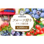 入場券 優待券 妹尾観光農園 フルーツ狩りチケット3000円