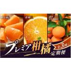 果物類 みかん \新登場 全3回定期便 和歌山のプレミア柑橘…