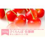 ふるさと納税 果物類 さくらんぼ 山形県 村山市 先行予約 2025年産 さくらんぼ 佐藤錦 秀 2L・L混合サイズ バラ詰 500g 山形県産 フルーツ 果物 くだもの サ…