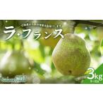 ショッピングふるさと納税 梨 ふるさと納税 梨 山形県 -  2026年先行予約 仲野観光果樹園 贈答用 山形県産 西洋梨 ラ・フランス 3kg (9〜10玉) 秀品 2026年11月中旬から順次発送 F2Y-6111