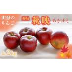 ふるさと納税 りんご 山形県 長井市 2025年9月〜10月発送分先行受付 「秀品」山形のりんご(秋映)約2kg_H211(R7)
