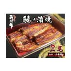 穴子 鱧 うなぎ 2尾