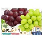 ふるさと納税 ぶどう マスカット 山形県 高畠町  期間限定発送 ぶどう 食べ比べ 高級ぶどう シャインマスカット マイハート 各1房 約1.2kg 詰め合わせ セット …
