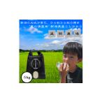 ふるさと納税 米 コシヒカリ 新潟県 上越市 令和7年 新潟県上越市産 従来 コシヒカリ 精米済5kg 5キロ こしひかり お米 米 精米 送料無料