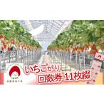 いちご 佐藤果実工房のいちご狩り回数券