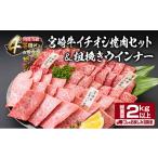 ふるさと納税 自治体にお任せ 宮崎県 日南市  令和8年4月から毎月配送 3か月定期便 月替わりで堪能 宮崎牛 イチオシ 焼肉 セット お楽しみ 定期便 粗挽き ウイ…