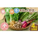 セット 詰合せ 全4回定期便 春夏秋冬 季節のお野菜セット