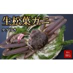 カニ 松葉ガニ 魚倉 タグ付き生松葉ガニ 特大950g