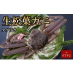 カニ 松葉ガニ 魚倉 タグ付き生松葉ガニ 中650g