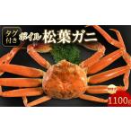 カニ 松葉ガニ 魚倉 タグ付きボイル松葉ガニ