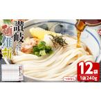 うどん 生 半生めん 容量が 半生 讃岐麺維新 12袋×240g