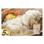 米 コシヒカリ 令和7年度産 里山のこしひかり