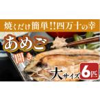 川魚 予約受付 焼くだけ簡単 無投薬で四万十育ちのあめごの…