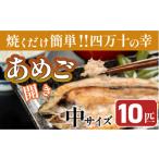 川魚 予約受付 焼くだけ簡単 無投薬で四万十育ちのあめごの…