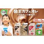 飲料類 乳飲料 酪王 バラエティ セット 300ml×5本セット