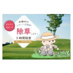 地域のお礼の品 除草 手むしり 3時間 程度