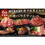 牛肉 セット 6回定期便 鹿児島黒毛和牛 バラエティセット