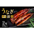 ふるさと納税 うなぎ 茨城県 下妻市  発送月・容量が選べる 02月発送 国産 うなぎ蒲焼 上うなぎ2尾 250g以上 山椒付き 鰻 ウナギ たれ タレ たっぷり うな重 …