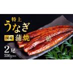 ふるさと納税 うなぎ 茨城県 下妻市  発送月・容量が選べる 07月発送（ 丑の日(7／26)までにお届け ） 国産 うなぎ蒲焼 特上うなぎ2尾 合計550g以上 山椒付き …