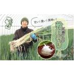 fu.... налог овощи вид лук порей Yamagata префектура . внутри блок 11 месяц .. последовательный отправка . внутри блок производство Kudo san. . белый лук порей L размер 30шт.@ примерно 4kg( уплата временные ограничения :2026.2.20)