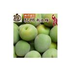 果物類 青梅 訳あり 南高梅 3kg+250g