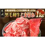 ふるさと納税 牛肉 すき焼き 宮崎県 都城市 新光星牧場 黒毛和牛こま切れ1kg_14-M901_(都城市) 都城産 黒毛和牛 小間切れ 500g×2P