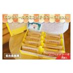 焼菓子 チョコレート A104 宮古島銘菓