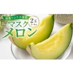 ふるさと納税 メロン メロン青肉 愛知県 田原市 先行予約 数量限定 野菜ソムリエ 推薦 渥美半島伊良湖潮風育ち マスクメロン 2玉 2L〜3L サイズ(3〜4キロ) 箱…