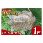 fu.... налог рыба моллюски Okinawa префектура . видеть замок город сырой . Tama . прямая поставка .. дальневосточная черепаха 1 шт 800g~900gl дальневосточная черепаха spon.. коллаген коллаген вдоволь низкий калории прекрасный...