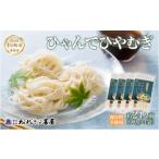 ふるさと納税 麺類 冷麦 新潟県 十�