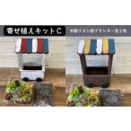 花 苗木 多肉植物 じぶんで植える 多肉 寄せ植えキットC