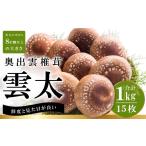 野菜類 きのこ 奥出雲椎茸 雲太 1kg
