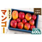 fu.... налог манго Osaka (столичный округ) река юг блок название . нет манго набор примерно 500~600g размер не комплект | манго фрукты местного производства фрукты ..... необычный довольство sa...