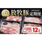 豚肉 セット 12ヶ月定期便 産豚肉 放牧豚定期便
