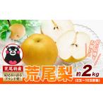 ふるさと納税 梨 熊本県 荒尾市 2025年 先行予約 梨 荒尾梨 和梨 約2kg なし フルーツ 果物 新鮮《2025年8月下旬‐11月中旬頃出荷》訳あり 熊本県 荒尾市産 …
