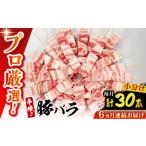 豚肉 バラ 6回定期便 焼き鳥セット 豚バラ 30本