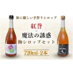 加工品等 予約販売 紅誉 魔法の優惑セット 720ml