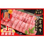 ふるさと納税 牛肉 焼肉・バーベキュー 宮崎県 日南市 6月末までにお届け 畜産農家応援 数量限定 厳選 宮崎牛 赤身 焼肉 計1kg 粗挽きウインナー 牛肉 国産焼…